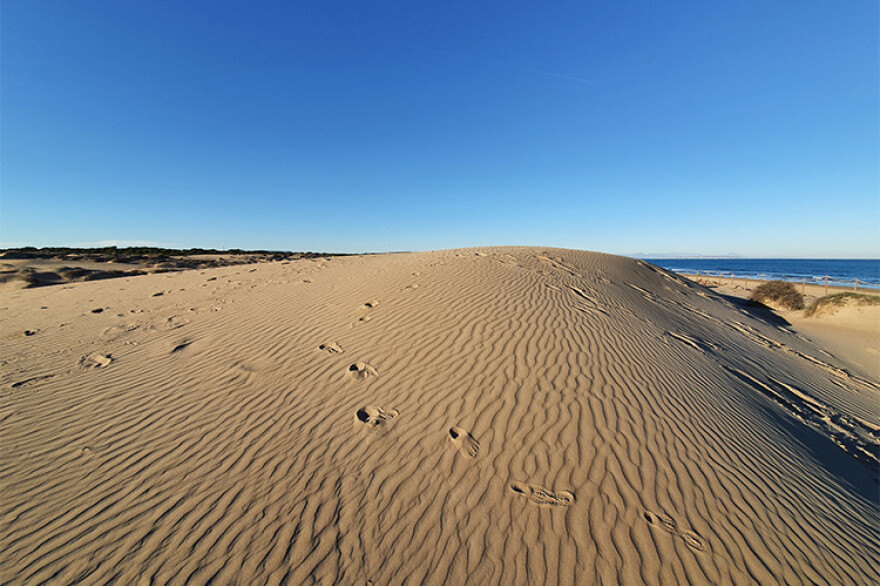 Parc de la pinède et dunes