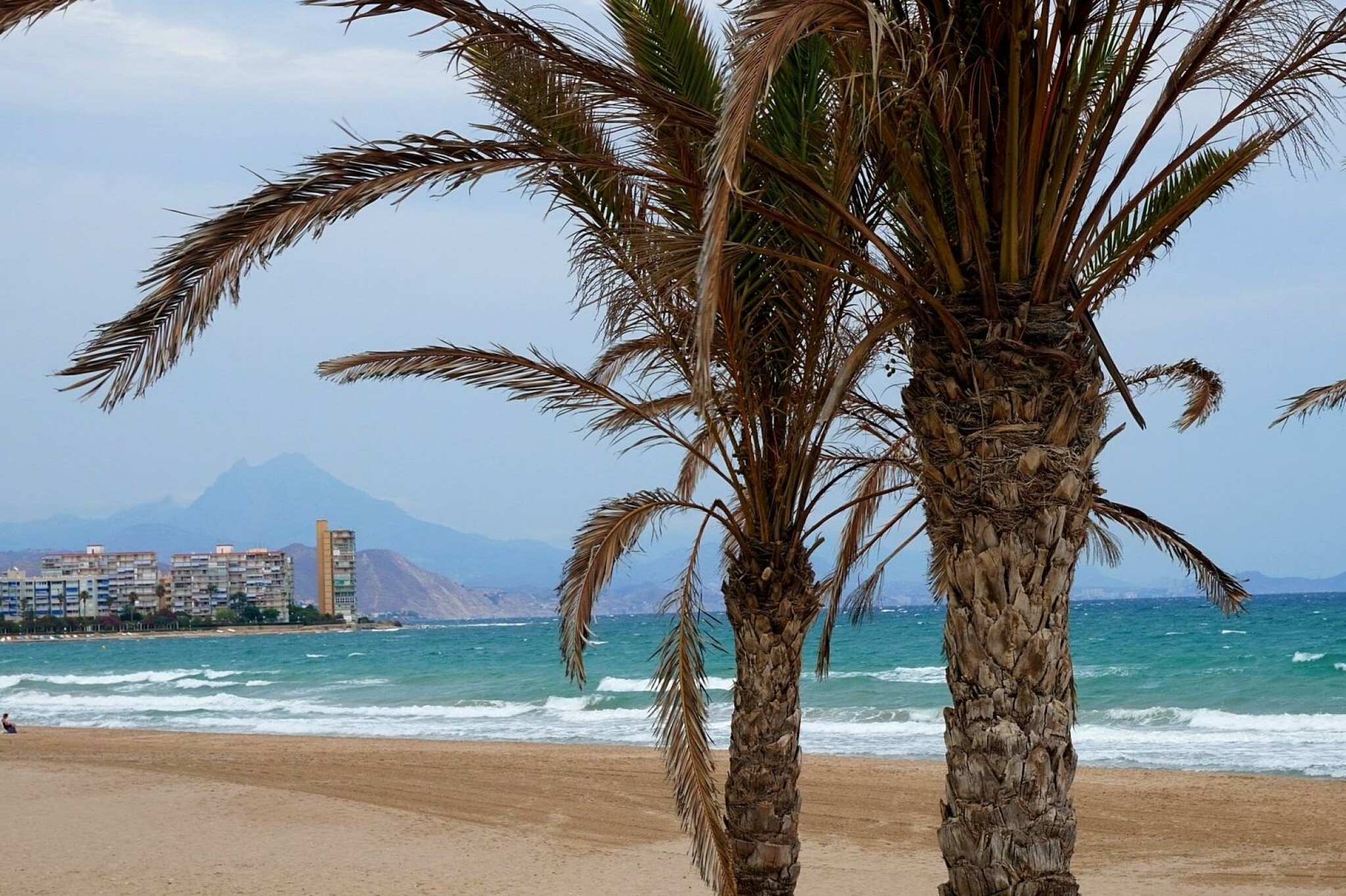 Les Anglais aiment Alicante - découvrez cette province