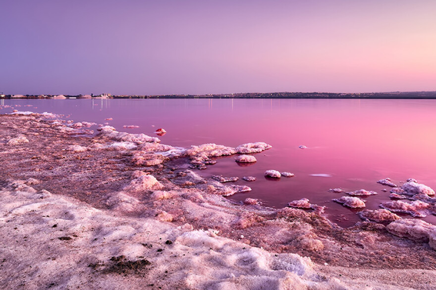 Parc naturel de la Mata et des lagunes de Torrevieja