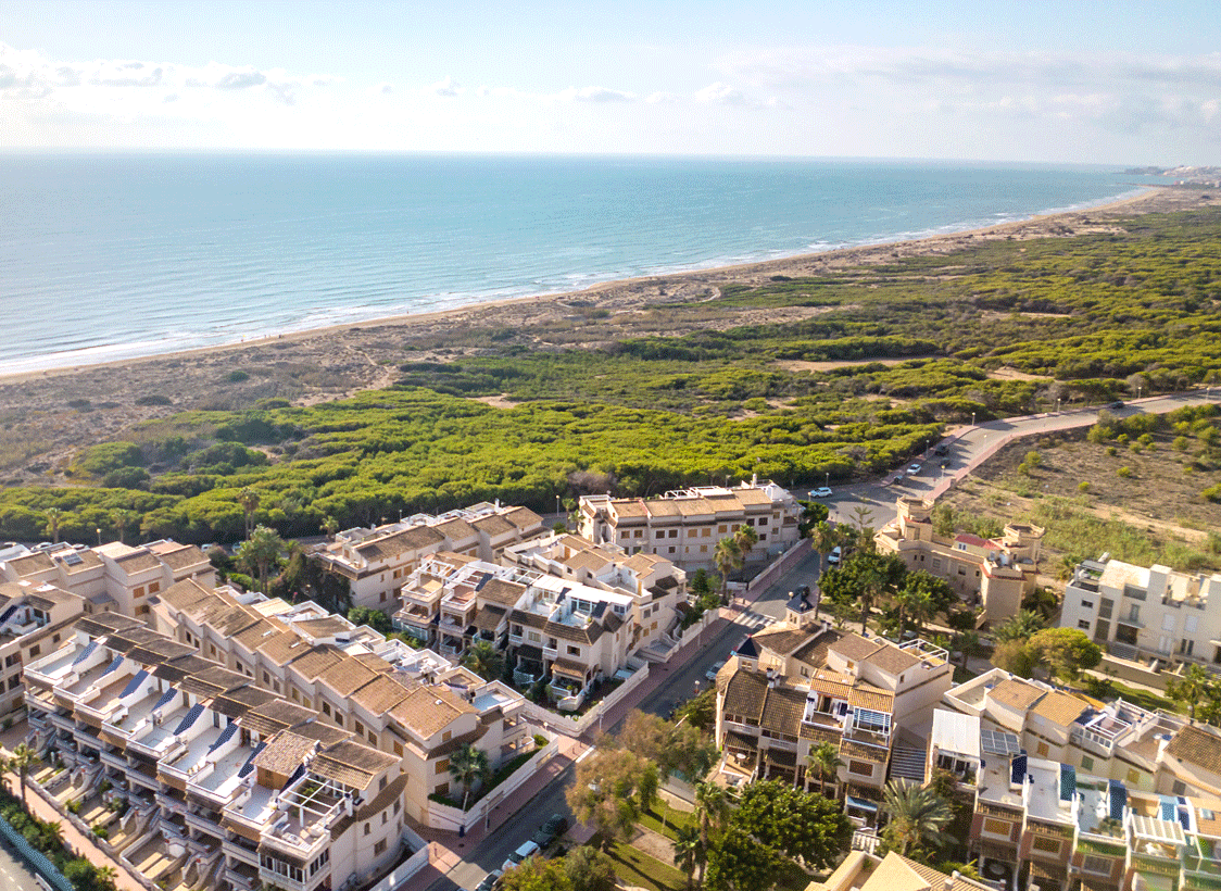 Biens immobiliers à Guardamar del Segura